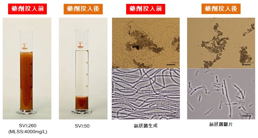 使用藥劑前後比較圖